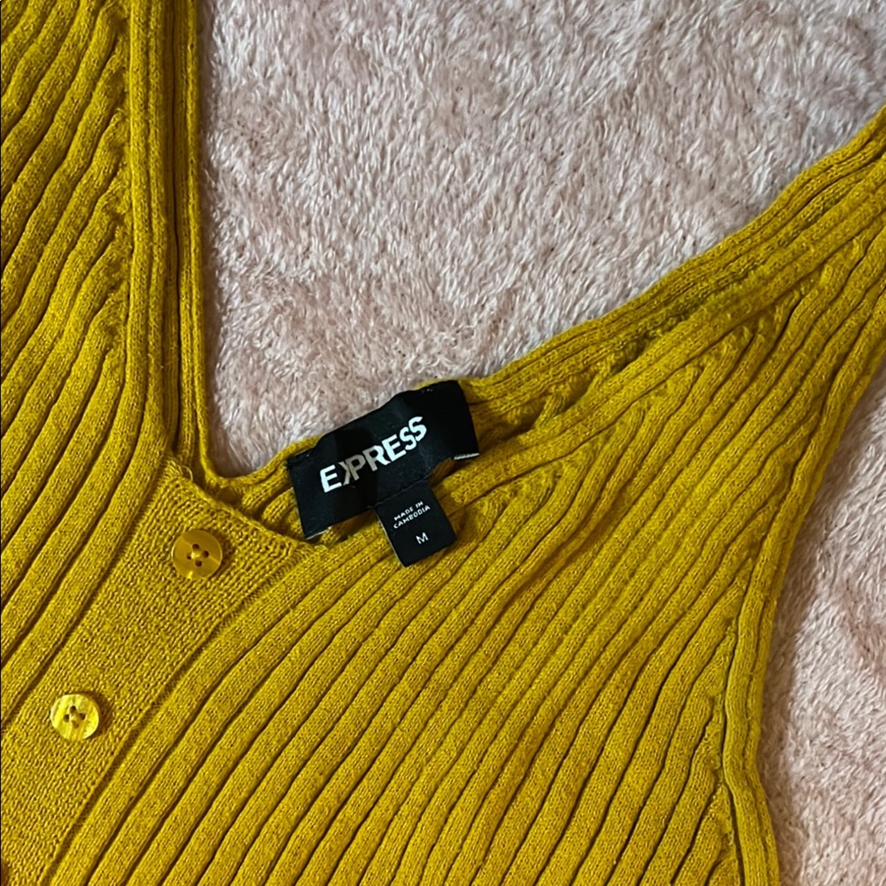 Express Mustard Ribbed Knit Top